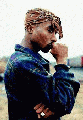 55.gif