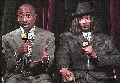6.gif